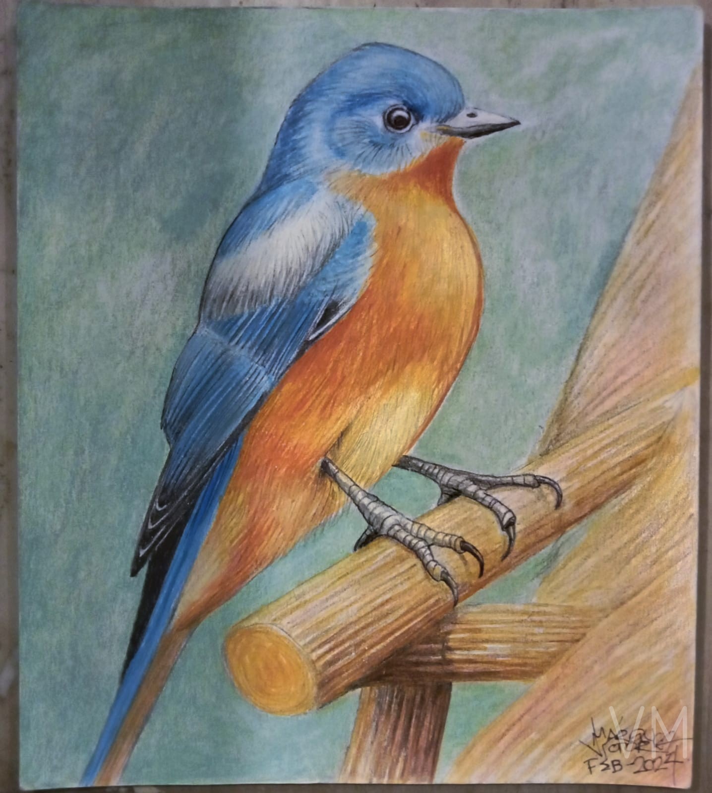 Hermoso pájaro azulejo posado en una rama de bambú, colores vibrantes azul y naranja.