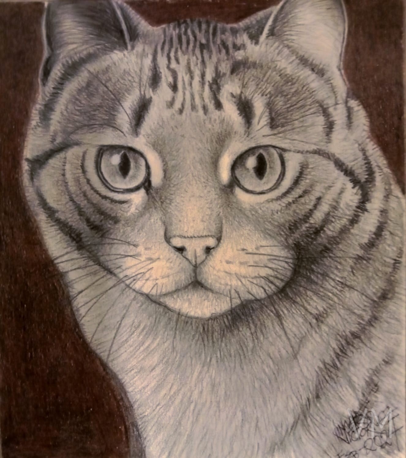 Primer plano del rostro de un gato atigrado con mirada hipnótica sobre fondo oscuro.