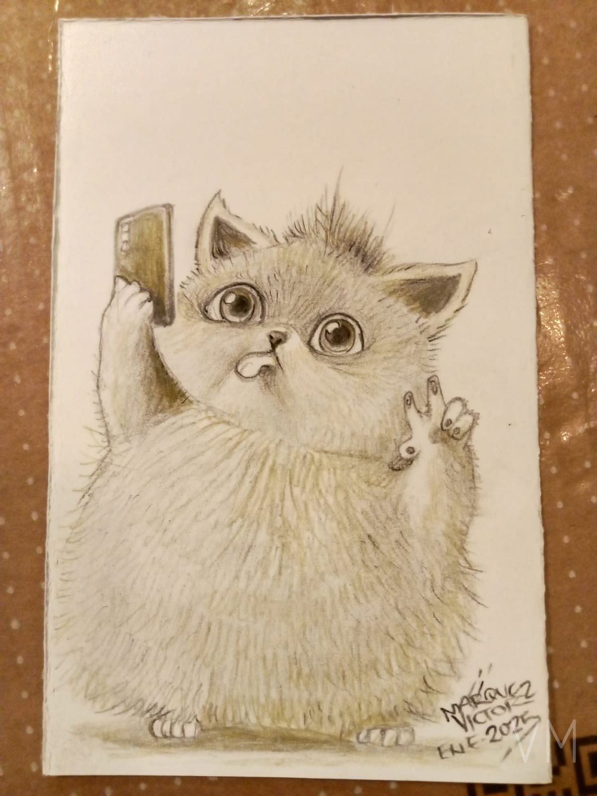 Gatito esponjoso tomándose una selfie con su celular haciendo señal de paz.