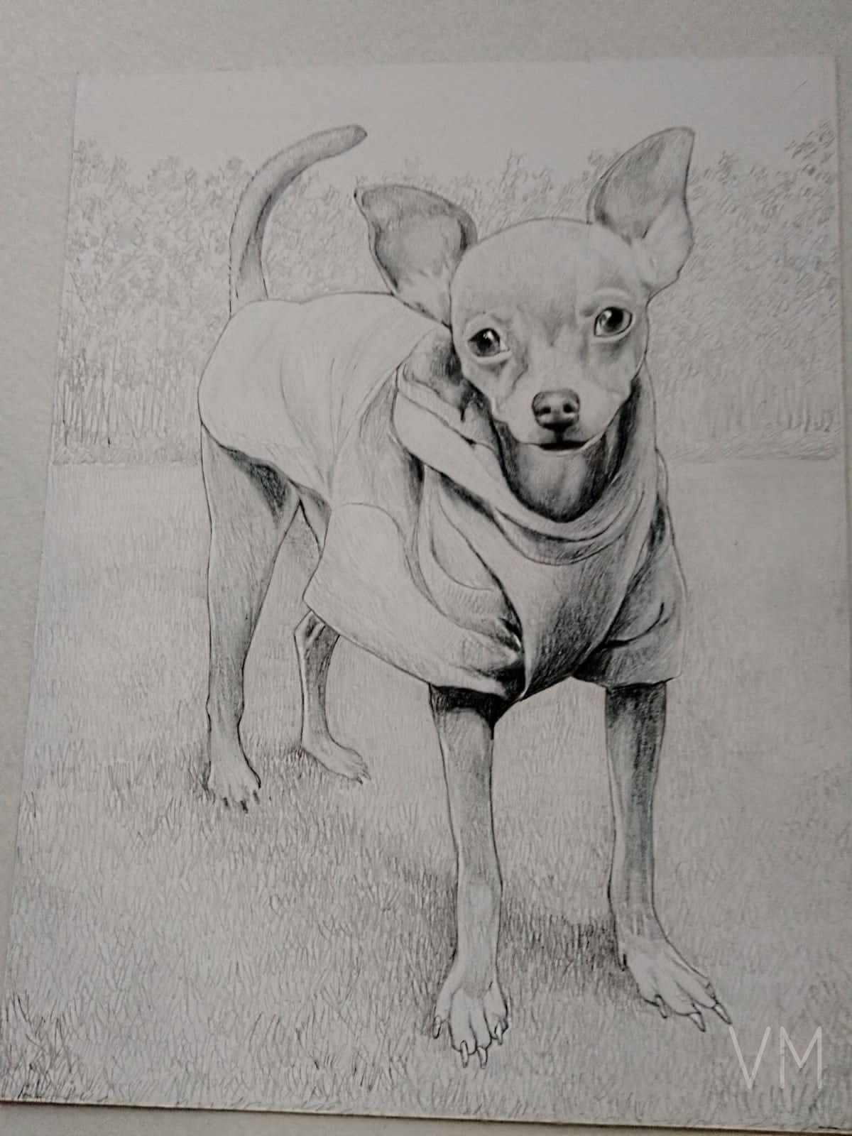 Retrato realista de un chihuahua usando una pequeña playera, posando con actitud.